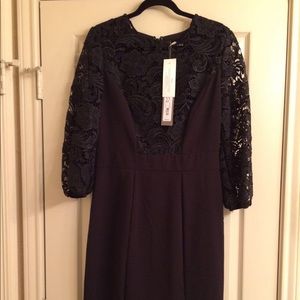 NY&CO Eva Mendez Collection